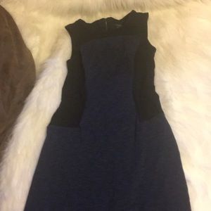 Ann Taylor dress